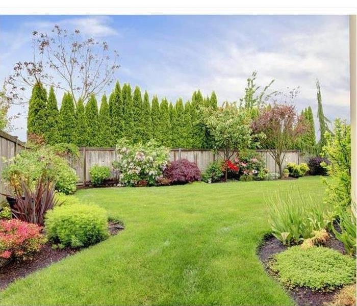 Fenced backyard. View of lawn and blooming flower beds