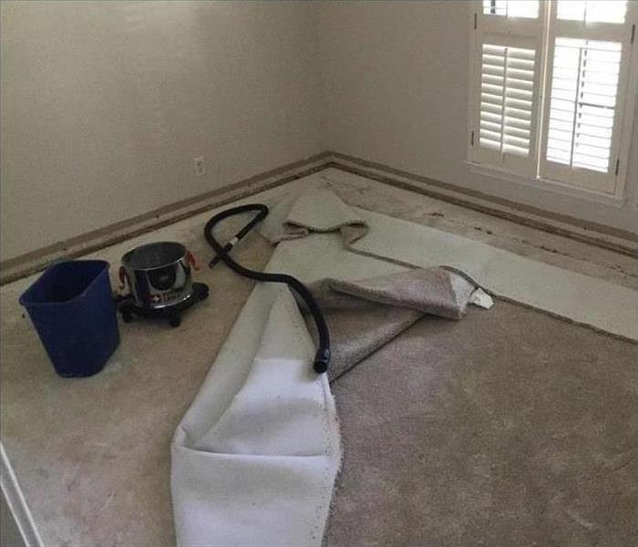 carpet floor removed, black hose, plastic blue trash can